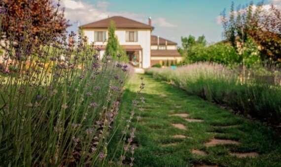Transacciones inmobiliarias