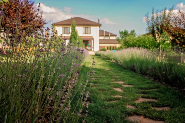 Transacciones inmobiliarias